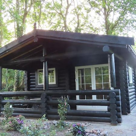Knusse En Gezellige Blokhut De Bijenstal Villa Dedemsvaart Екстериор снимка