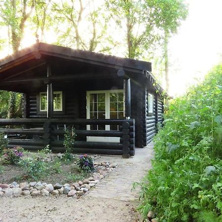 Knusse En Gezellige Blokhut De Bijenstal Villa Dedemsvaart Екстериор снимка